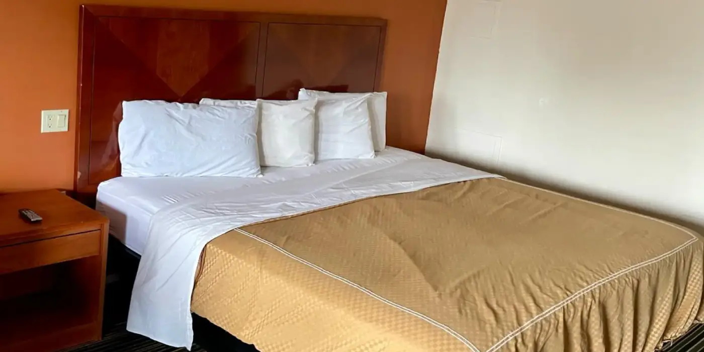 Standard King Room Standard King Room